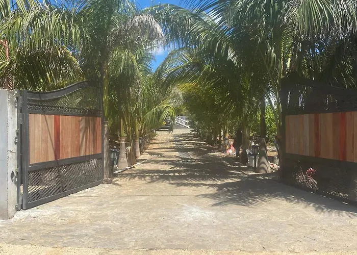 Allee Coco